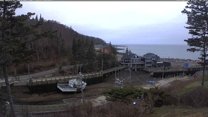 Hall's Harbour