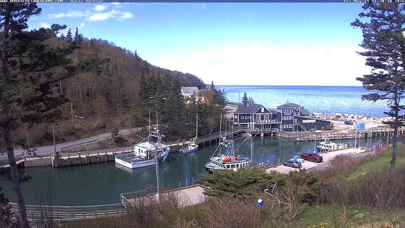 Hall's Harbour