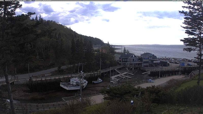 Hall's Harbour