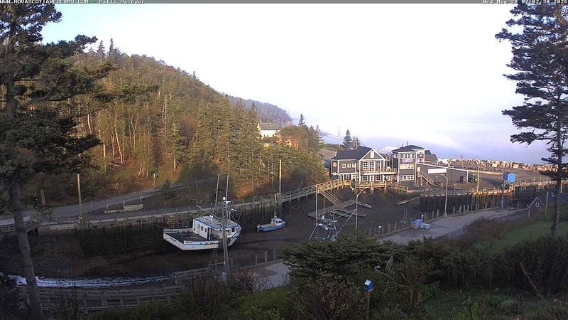 Hall's Harbour