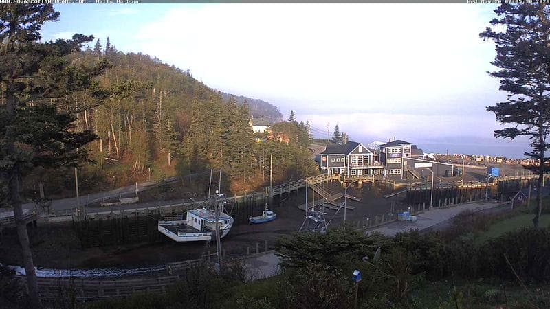 Hall's Harbour