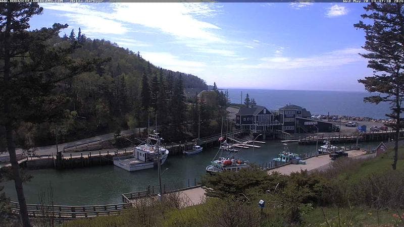 Hall's Harbour