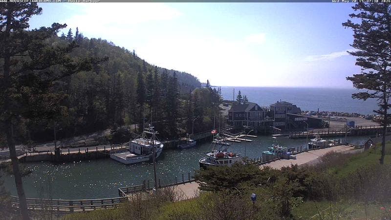 Hall's Harbour