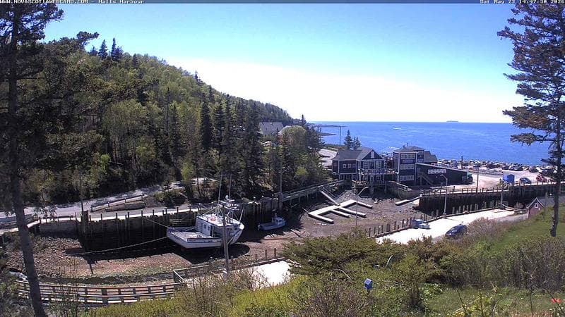 Hall's Harbour