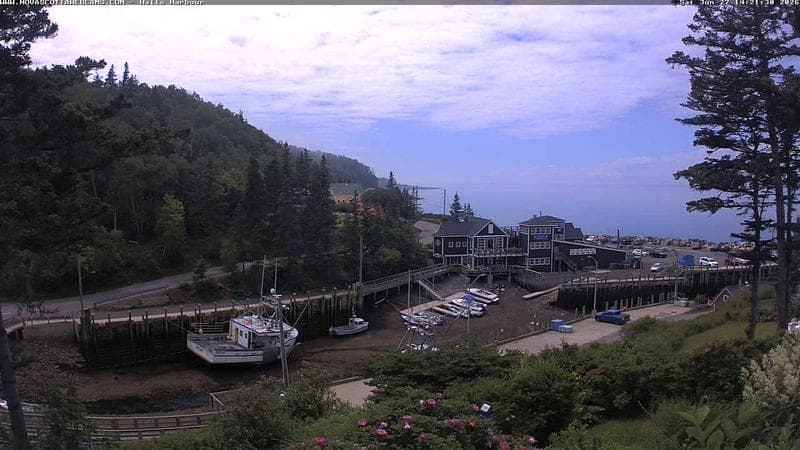 Hall's Harbour