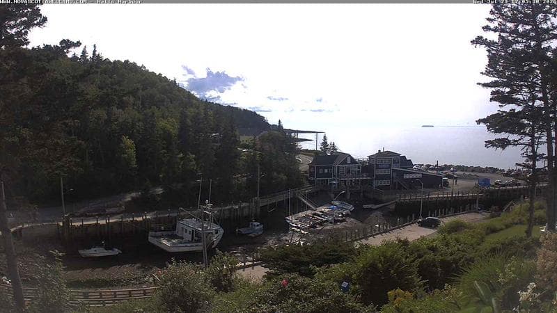 Hall's Harbour