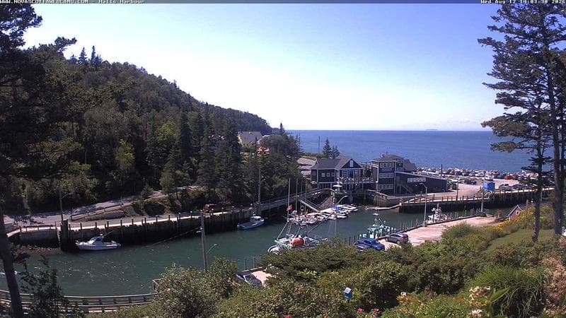 Hall's Harbour