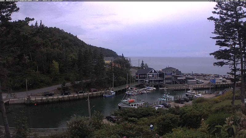 Hall's Harbour