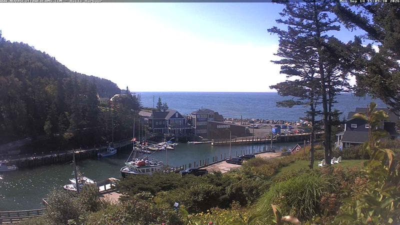 Hall's Harbour