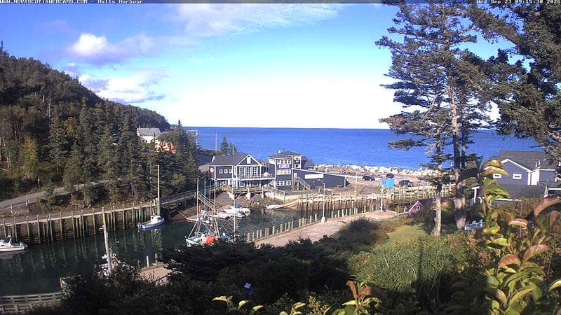 Hall's Harbour