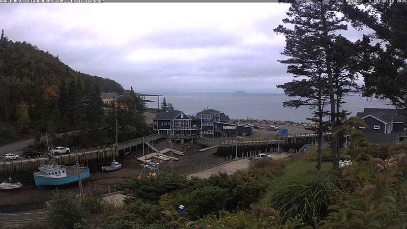 Hall's Harbour