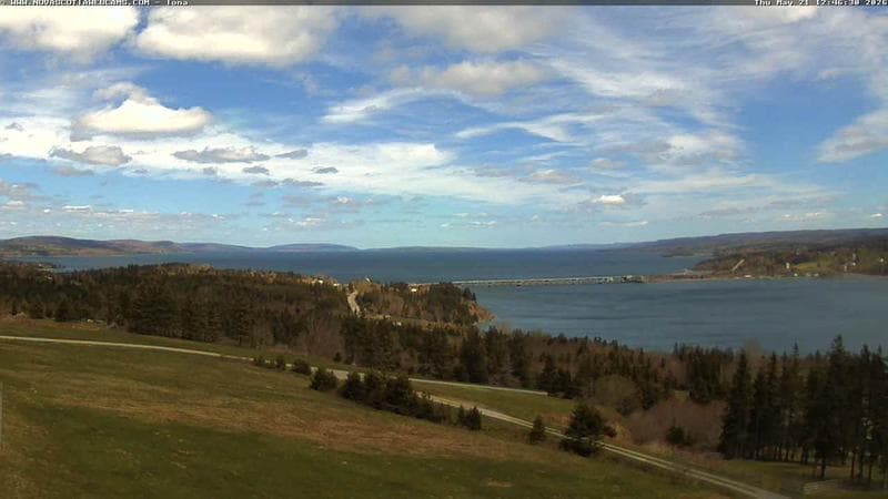 Iona