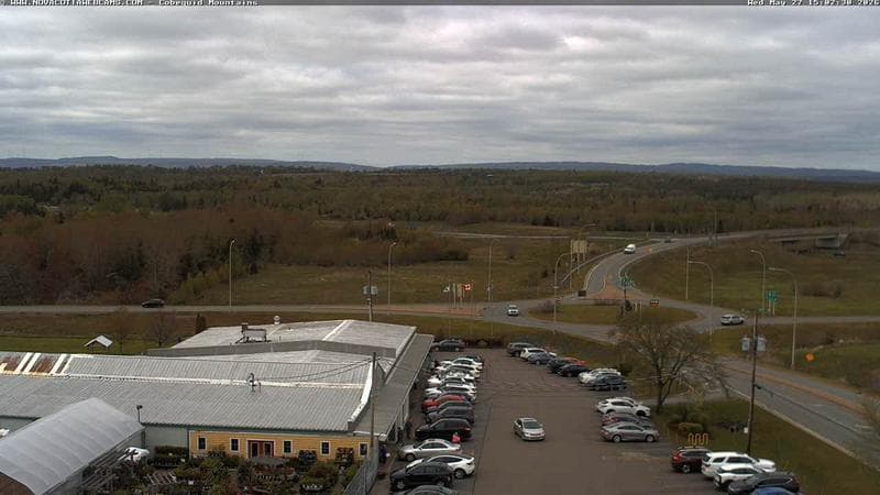 Cobequid Mountains