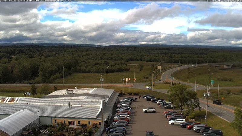 Cobequid Mountains