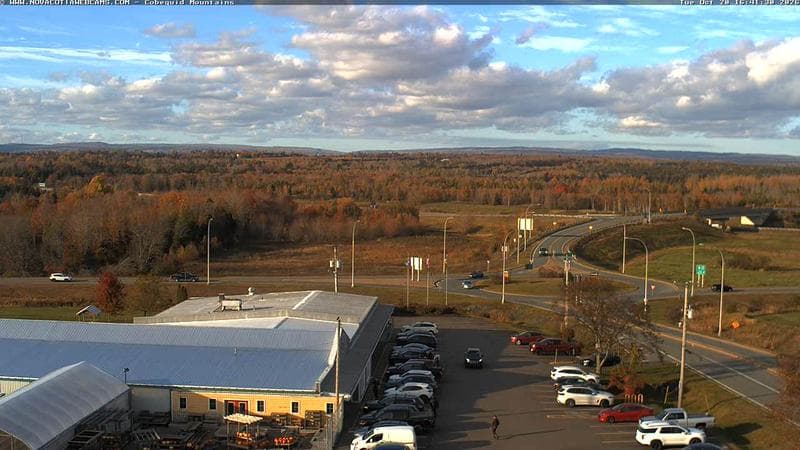 Cobequid Mountains