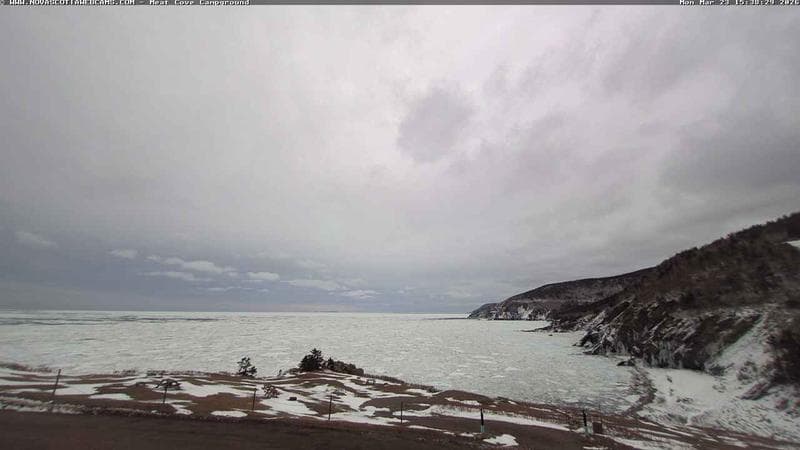Meat Cove Campground