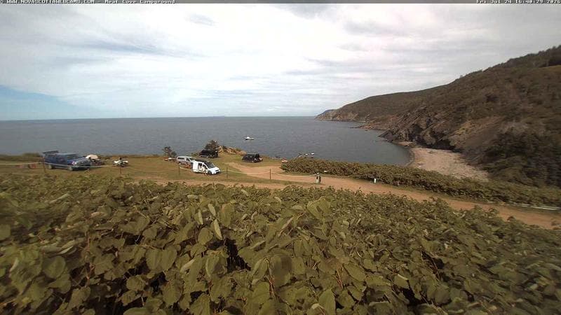 Meat Cove Campground