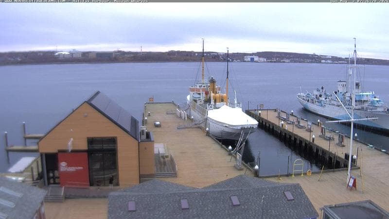 Museum Wharves
