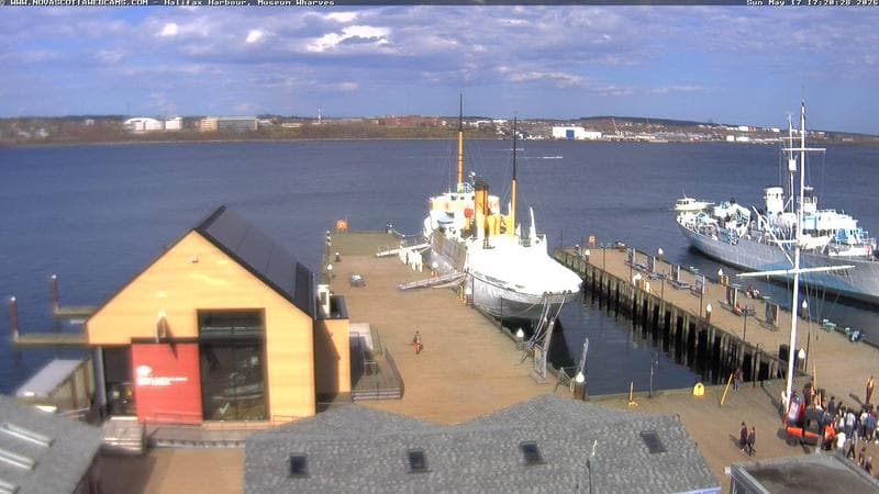 Museum Wharves