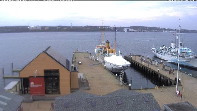 Museum Wharves