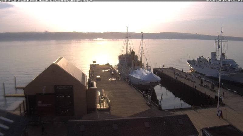 Museum Wharves