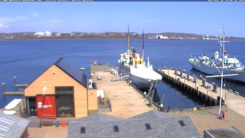 Museum Wharves