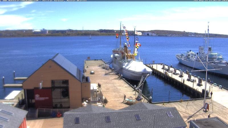 Museum Wharves