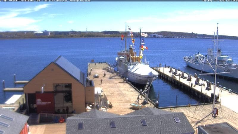 Museum Wharves