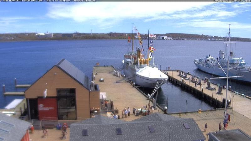 Museum Wharves