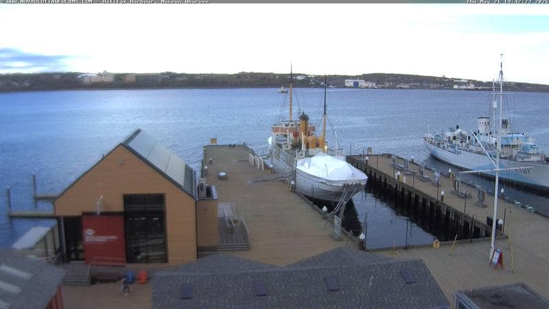 Museum Wharves