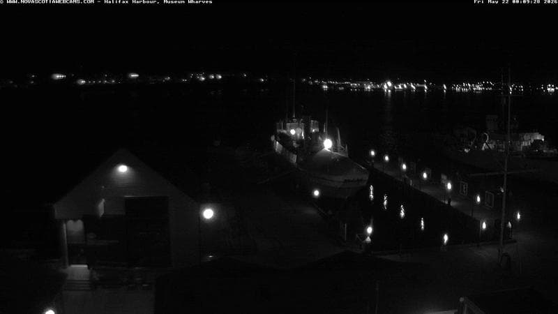 Museum Wharves