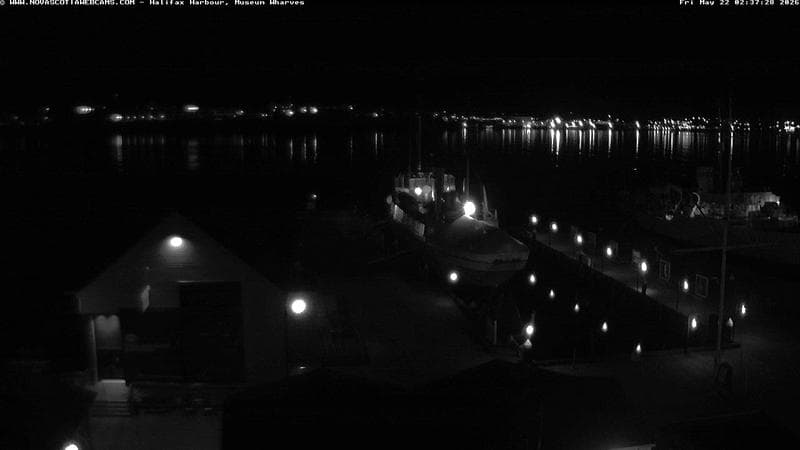 Museum Wharves