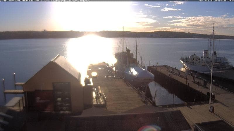 Museum Wharves