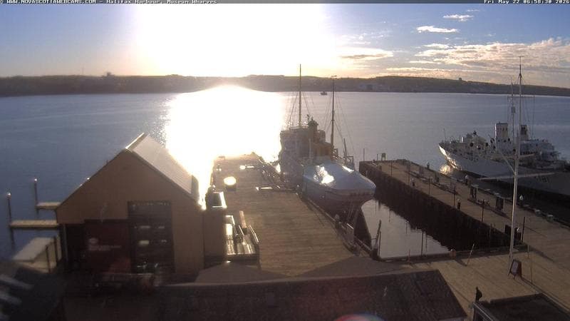 Museum Wharves