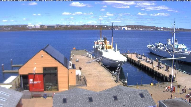 Museum Wharves