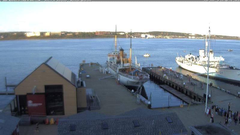 Museum Wharves