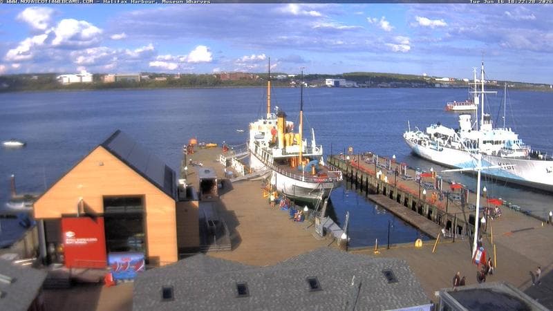 Museum Wharves