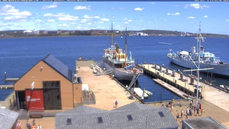 Museum Wharves