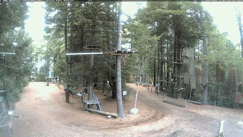 Ontree Park
