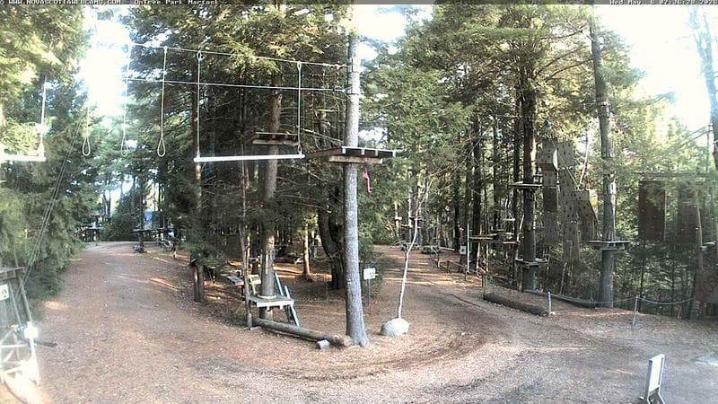 Ontree Park