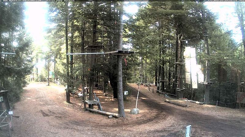 Ontree Park