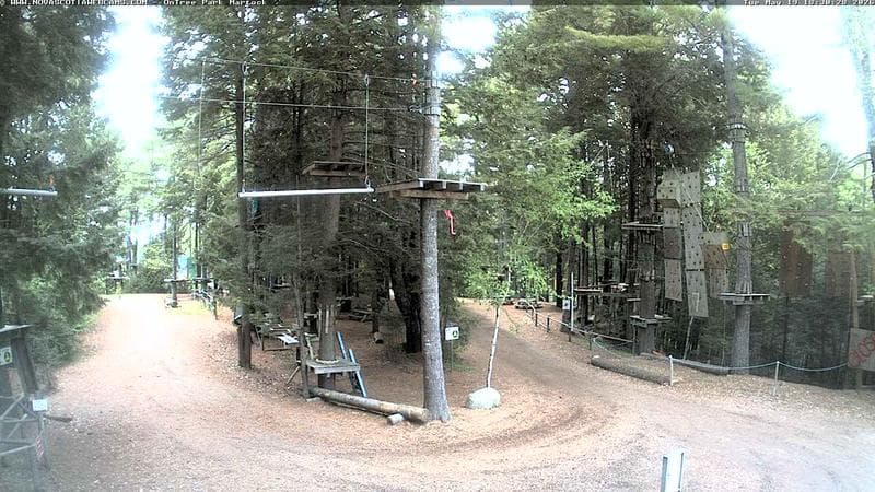 Ontree Park