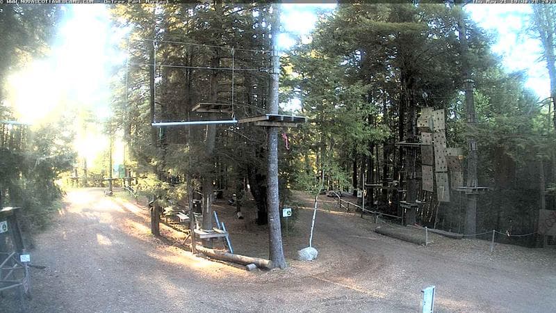 Ontree Park