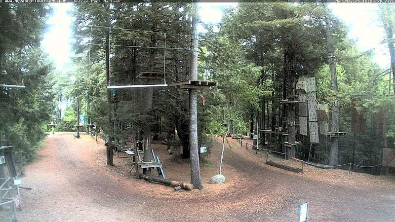 Ontree Park