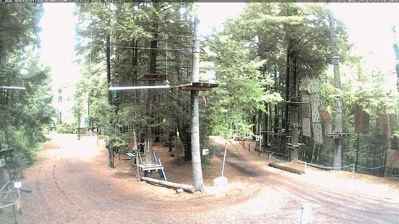 Ontree Park