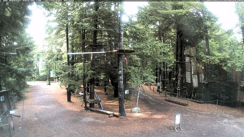 Ontree Park
