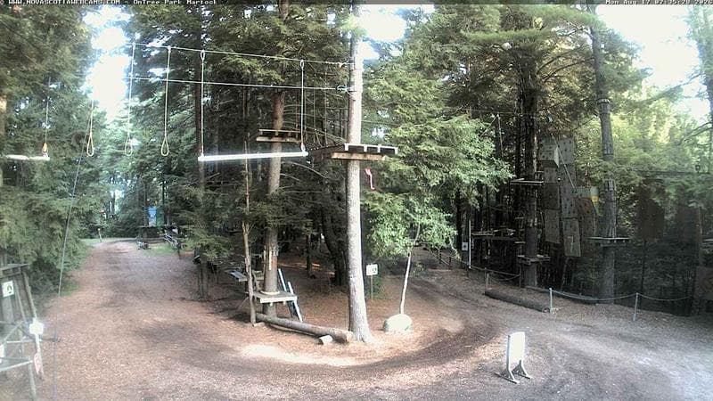 Ontree Park