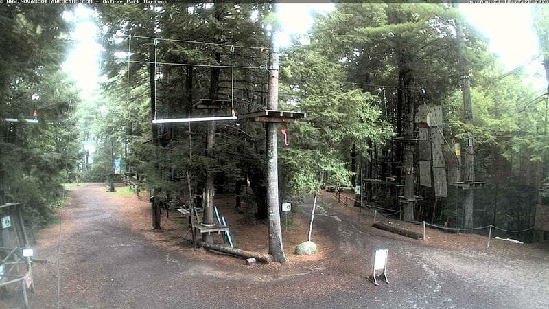 Ontree Park