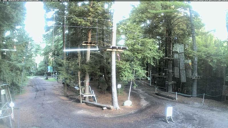 Ontree Park