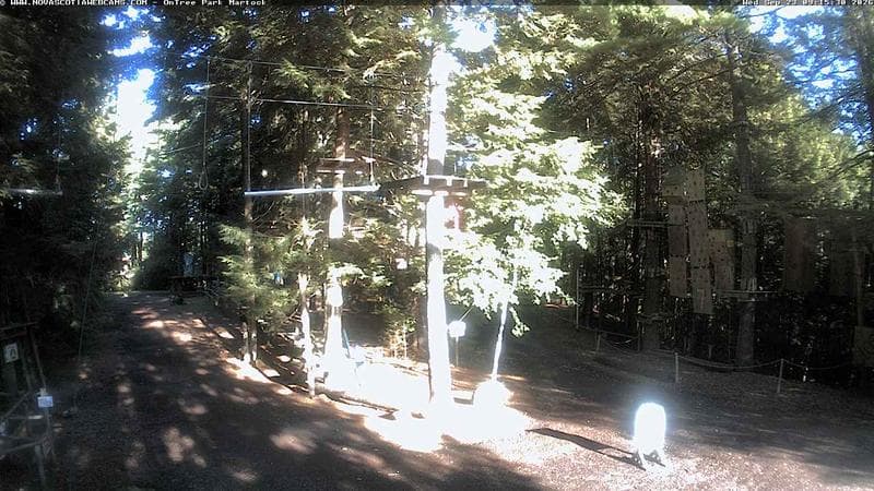 Ontree Park